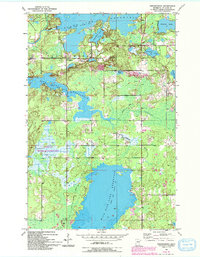 Download a high-resolution, GPS-compatible USGS topo map for Fredenberg, MN (1993 edition)