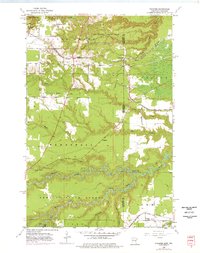 Download a high-resolution, GPS-compatible USGS topo map for Frogner, MN (1976 edition)
