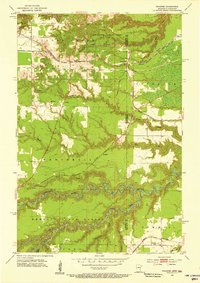 Download a high-resolution, GPS-compatible USGS topo map for Frogner, MN (1955 edition)