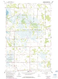 Download a high-resolution, GPS-compatible USGS topo map for Gatzke SE, MN (1984 edition)
