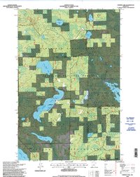Download a high-resolution, GPS-compatible USGS topo map for Gimmer Lake, MN (1998 edition)