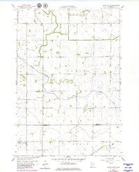 Download a high-resolution, GPS-compatible USGS topo map for Gracelock NE, MN (1980 edition)