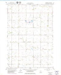 Download a high-resolution, GPS-compatible USGS topo map for Gracelock, MN (1980 edition)