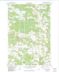 Download a high-resolution, GPS-compatible USGS topo map for Heikkila Creek, MN (1982 edition)