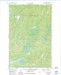 Download a high-resolution, GPS-compatible USGS topo map for Isabella Station, MN (1985 edition)