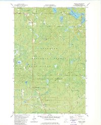 Download a high-resolution, GPS-compatible USGS topo map for Isabella, MN (1982 edition)