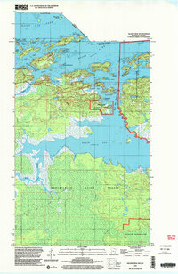 preview thumbnail of historical topo map of Koochiching County, MN in 1999