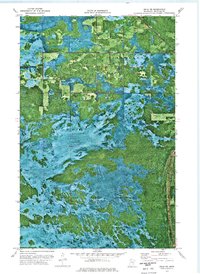 Download a high-resolution, GPS-compatible USGS topo map for Jelle NE, MN (1976 edition)