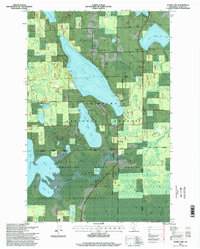 Download a high-resolution, GPS-compatible USGS topo map for Jessie Lake, MN (1998 edition)