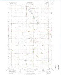 Download a high-resolution, GPS-compatible USGS topo map for Kennedy SE, MN (1976 edition)