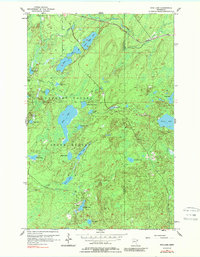 Download a high-resolution, GPS-compatible USGS topo map for King Lake, MN (1989 edition)