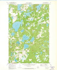 Download a high-resolution, GPS-compatible USGS topo map for Lake Ada, MN (1973 edition)