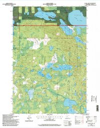 Download a high-resolution, GPS-compatible USGS topo map for Laura Lake, MN (1998 edition)