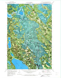 Download a high-resolution, GPS-compatible USGS topo map for Little Ball Club Lake, MN (1973 edition)