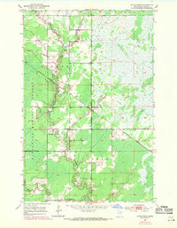 Download a high-resolution, GPS-compatible USGS topo map for Little Swan, MN (1971 edition)