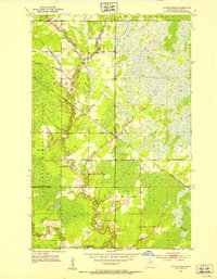Download a high-resolution, GPS-compatible USGS topo map for Little Swan, MN (1954 edition)