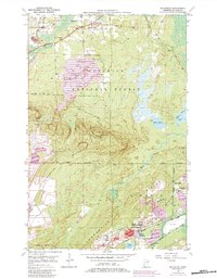 Download a high-resolution, GPS-compatible USGS topo map for Mc Kinley, MN (1983 edition)