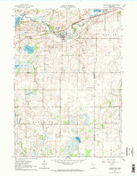 Download a high-resolution, GPS-compatible USGS topo map for Morristown, MN (1963 edition)