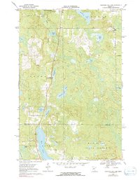 Download a high-resolution, GPS-compatible USGS topo map for Mountain Ash Lake, MN (1991 edition)