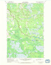 Download a high-resolution, GPS-compatible USGS topo map for Mulligan Lake SW, MN (1971 edition)