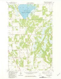 Download a high-resolution, GPS-compatible USGS topo map for Nelson Slough, MN (1982 edition)