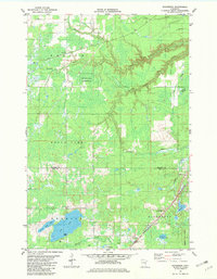 Download a high-resolution, GPS-compatible USGS topo map for Nickerson, MN (1982 edition)