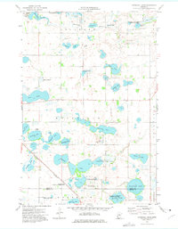 Download a high-resolution, GPS-compatible USGS topo map for Niemackl Lakes, MN (1975 edition)