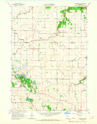 Download a high-resolution, GPS-compatible USGS topo map for Norseland, MN (1966 edition)