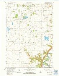Download a high-resolution, GPS-compatible USGS topo map for North Star, MN (1990 edition)