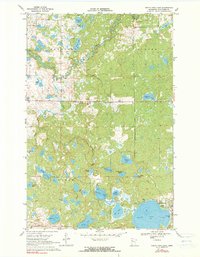 Download a high-resolution, GPS-compatible USGS topo map for North Twin Lake, MN (1990 edition)