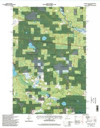 Download a high-resolution, GPS-compatible USGS topo map for Nushka Lake, MN (1998 edition)