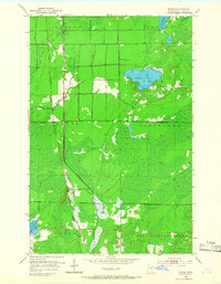 Download a high-resolution, GPS-compatible USGS topo map for Payne, MN (1966 edition)