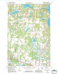 Download a high-resolution, GPS-compatible USGS topo map for Peterson Lake, MN (1995 edition)