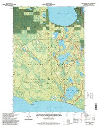 Download a high-resolution, GPS-compatible USGS topo map for Pigeon Dam Lake, MN (1998 edition)