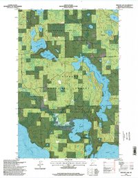 Download a high-resolution, GPS-compatible USGS topo map for Pimushe Lake, MN (1998 edition)