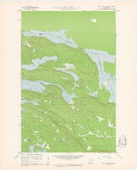 Download a high-resolution, GPS-compatible USGS topo map for Pine Lake East, MN (1961 edition)