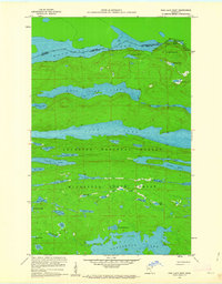 Download a high-resolution, GPS-compatible USGS topo map for Pine Lake West, MN (1964 edition)