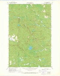 Download a high-resolution, GPS-compatible USGS topo map for Ray SE, MN (1971 edition)