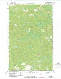 Download a high-resolution, GPS-compatible USGS topo map for Ray SW, MN (1987 edition)