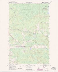 Download a high-resolution, GPS-compatible USGS topo map for Ray, MN (1987 edition)