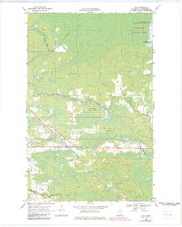 Download a high-resolution, GPS-compatible USGS topo map for Ray, MN (1983 edition)