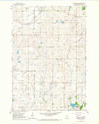 Download a high-resolution, GPS-compatible USGS topo map for Raymond Lake, MN (1966 edition)