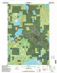 Download a high-resolution, GPS-compatible USGS topo map for Remer, MN (1998 edition)