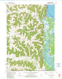 preview thumbnail of historical topo map of Houston County, MN in 1980