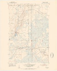 Download a high-resolution, GPS-compatible USGS topo map for Riley, MN (1954 edition)