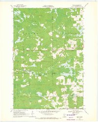 Download a high-resolution, GPS-compatible USGS topo map for Ronald, MN (1971 edition)