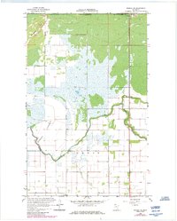 Download a high-resolution, GPS-compatible USGS topo map for Roseau NE, MN (1984 edition)