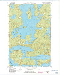 Download a high-resolution, GPS-compatible USGS topo map for Sioux Pine Island, MN (1986 edition)