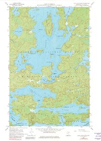 Download a high-resolution, GPS-compatible USGS topo map for Sioux Pine Island, MN (1982 edition)