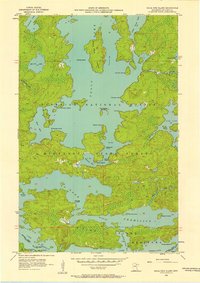 Download a high-resolution, GPS-compatible USGS topo map for Sioux Pine Island, MN (1958 edition)